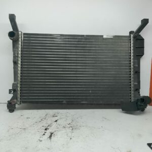 RADIADOR AGUA | MERCEDES-BENZ CLASE A (W169) A 150 A-Edition (169.031) | 09.07 - ... | A1695000303